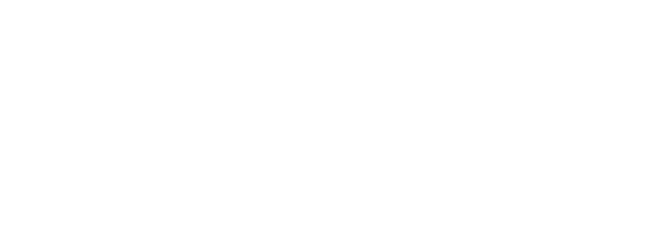 Western New York Toy Show